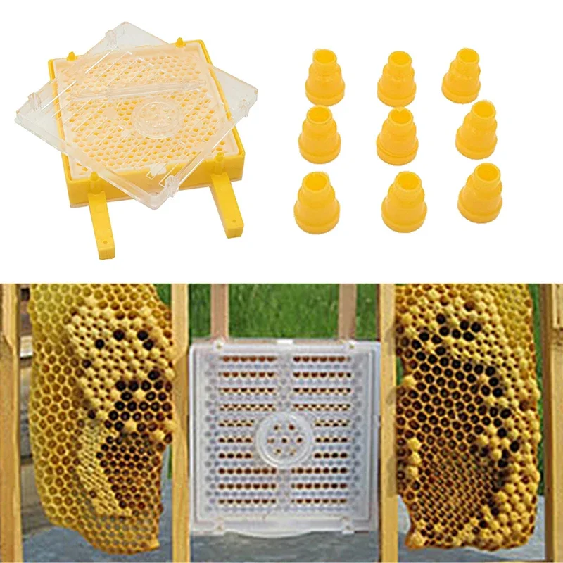 Complete Bee King Rearing System Kit Queen Cell Cup Holder Bees Supplies Easy To Install Queen Bee Breeding Box Apiculture Kit