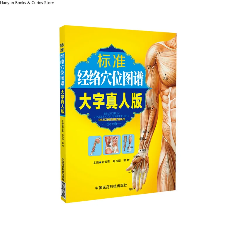 Standard Atlas of Human Meridians and Acupoints、Large Print Edition: Full-Color High-Definition Photographic Reference