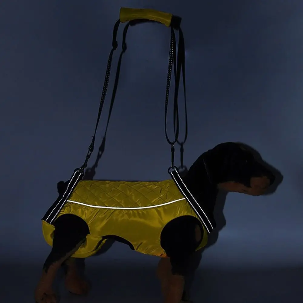Thumbnail 4 - #26 Trending Puppy Carriers Right Now