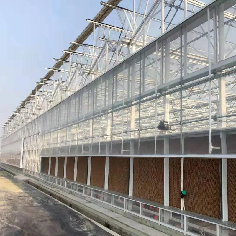 

Customized greenhouseCustomized After-Sales Good Strong Anti Wind Snow Ability Floated GlassGreenhouse Hydroponic Glass Greenhou