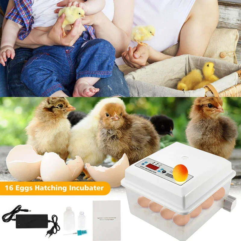 Automatic Egg Incubator 16 Eggs Farm/Household Multifunction Incubator Control System For Bird Goose Chicken Duck Quail Supplies