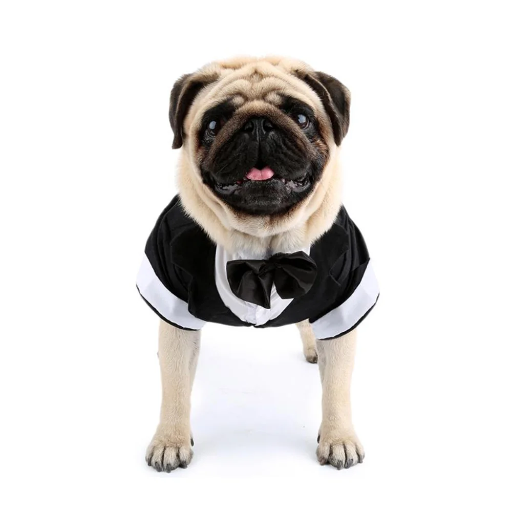 

Cute Bow Hoodie Small Pet Suit Cotton Chihuahua Outfits Puppy Jacket Small Pet Suit Chihuahua Outfits Warm Cozy Clothes