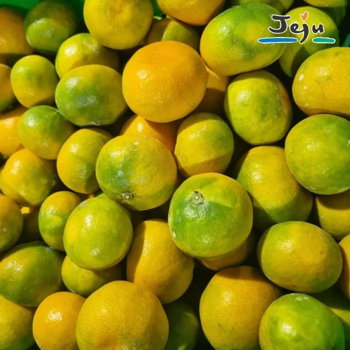 [حدث سعر خاص للغاية] فواكه لحمي حلوة متفجرة بنكهة عصير دفيئة جيجو مفتوحة الميدان عسل حلو اليوسفي الفاخر