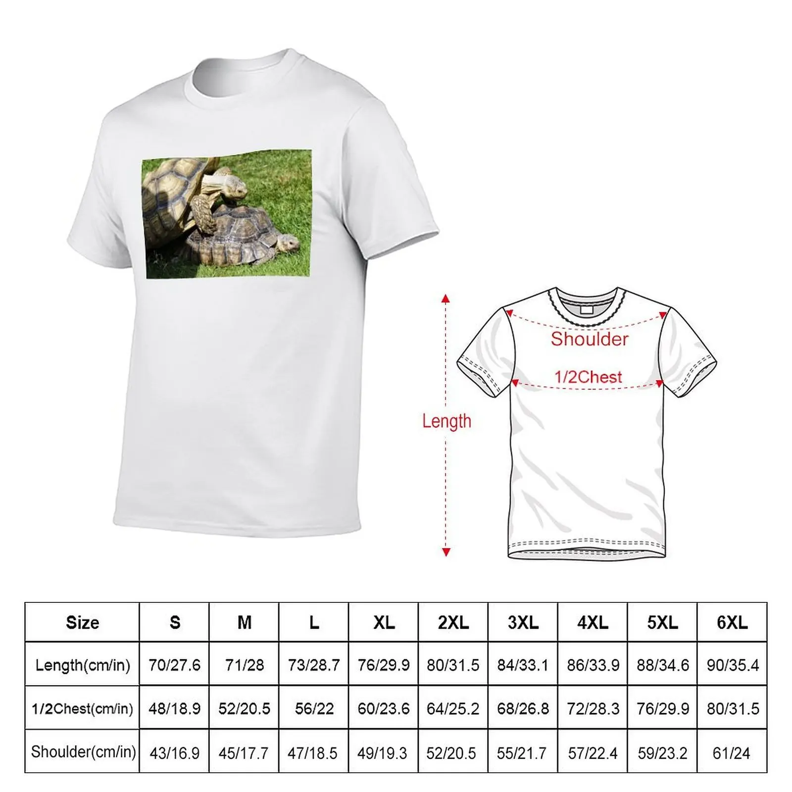 African spurred tortoise (Centrochelys sulcata) T-Shirt vintage clothes graphics mens fashion