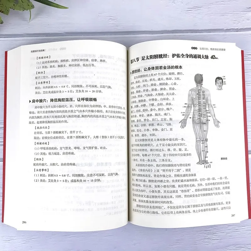 Stretching and Patting Treat All Diseases, Basic Beginner's Book for Learning Stretching and Patting