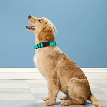 Soft Padded Dog Collar 3