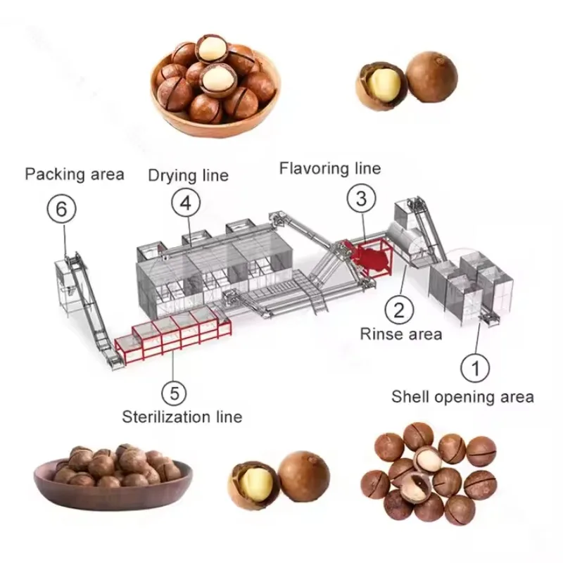Macadamia Nuts Deep Processing Equipment Industrial 1T/h Husking Grading Cracking Shelling Sorting Roasting Production Line
