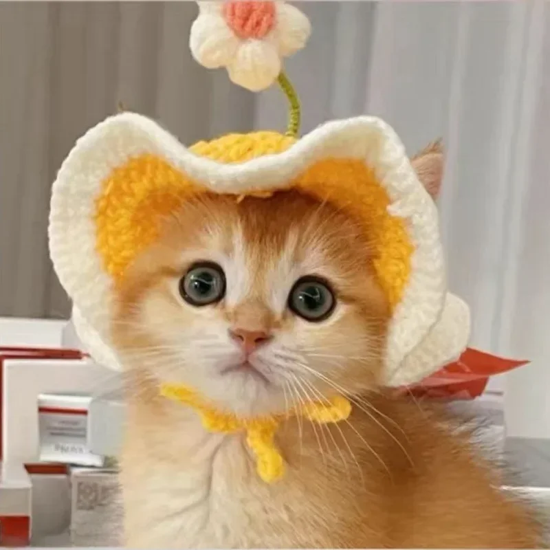 Kawaii Hand-Crocheted Frog Pet Hat Funny Headwear Knitted Elastic Cat Dog Cosplay Hat with Delicate Hemming Pendant Party Decor - Image 3