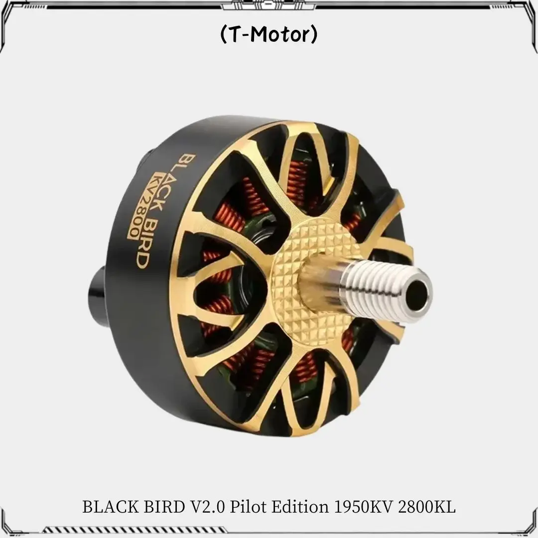 T-Motor-Moteur sans balais Black Bird V2.0 Pilot Edition pour importateur RC FPV Racing, 1950KV, 2800KV, 3-4S, 4-6S, 5 pouces