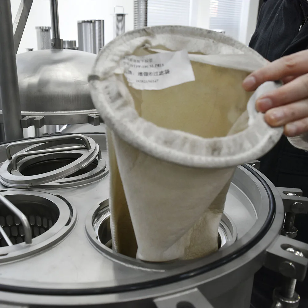 Sterile Filter 20 Inch Industry Water 316l Stainless Steel Bag Filter Housing Industry Dedusting Bag Filter for Liquid