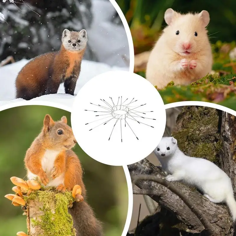 25 pezzi di protezione per arrampicata da giardino, punte difensive, dispositivi in acciaio inossidabile 304 per la prevenzione di pali elettrici, scoiattoli, gatti