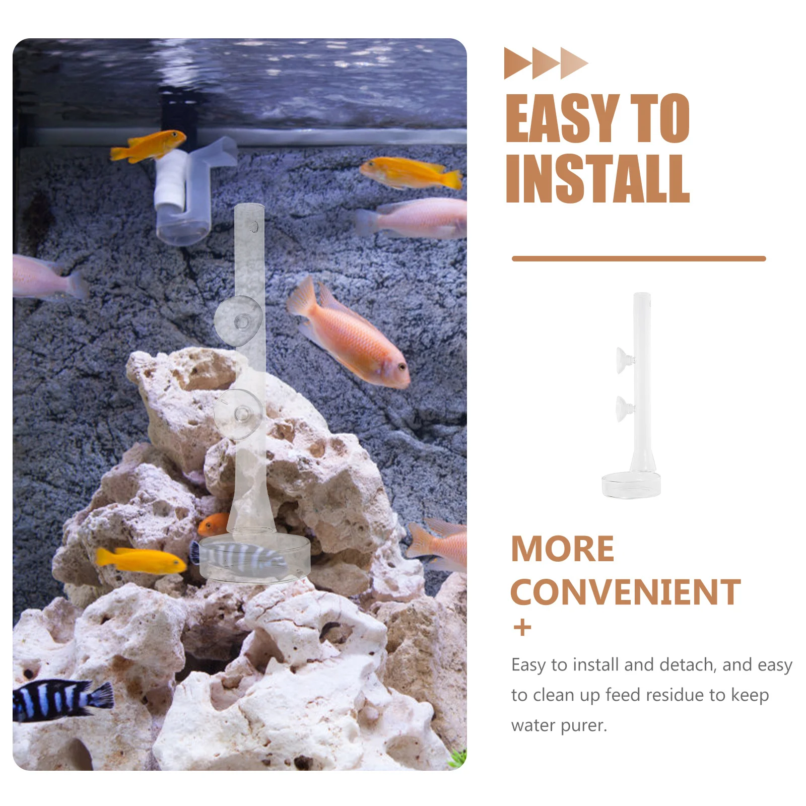 

1Set Shrimp Feeder Glass Fish Tank Feeder Easy Install Clean Professional Design Suction Cup Aquarium Supply Shrimp