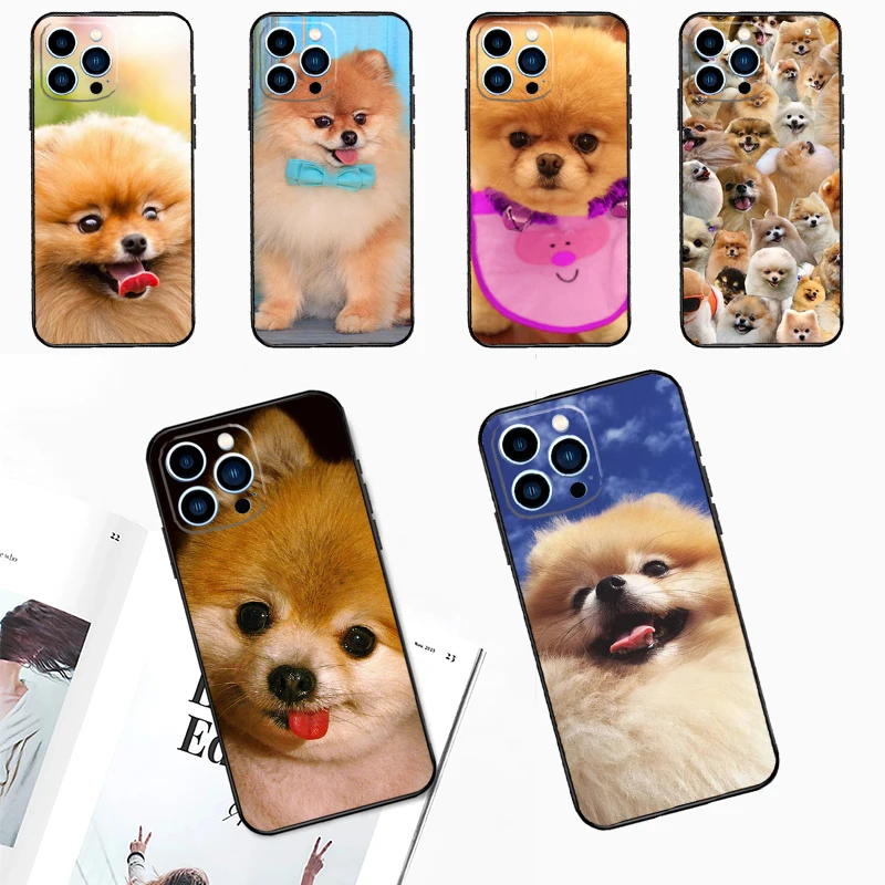 Pomeranian Dogs Dog… - image