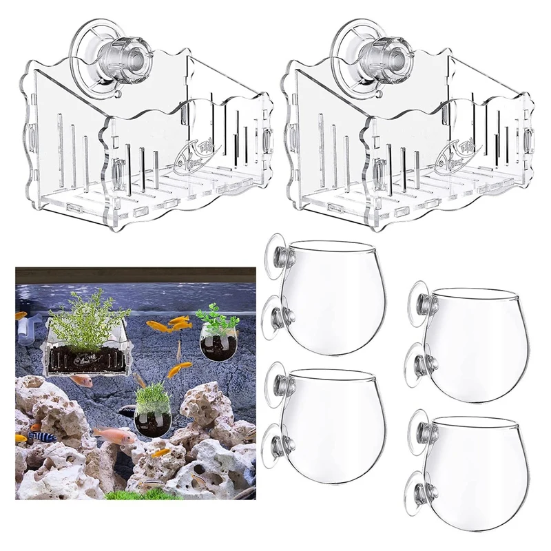 

Crystal Glass Plant Cups Aquatic Plant Cups With Suction Enlarged Acrylic Aquatic Plant Cups Plant