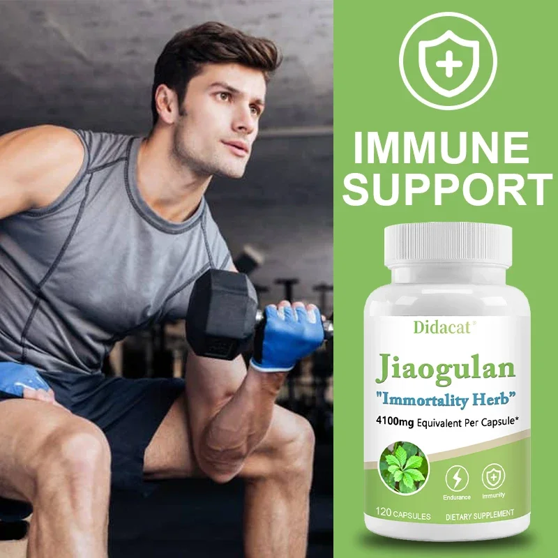 Jiaogulan  Antioxidants, Metabolism, Mitochondrial Support, Energy Levels, Focus