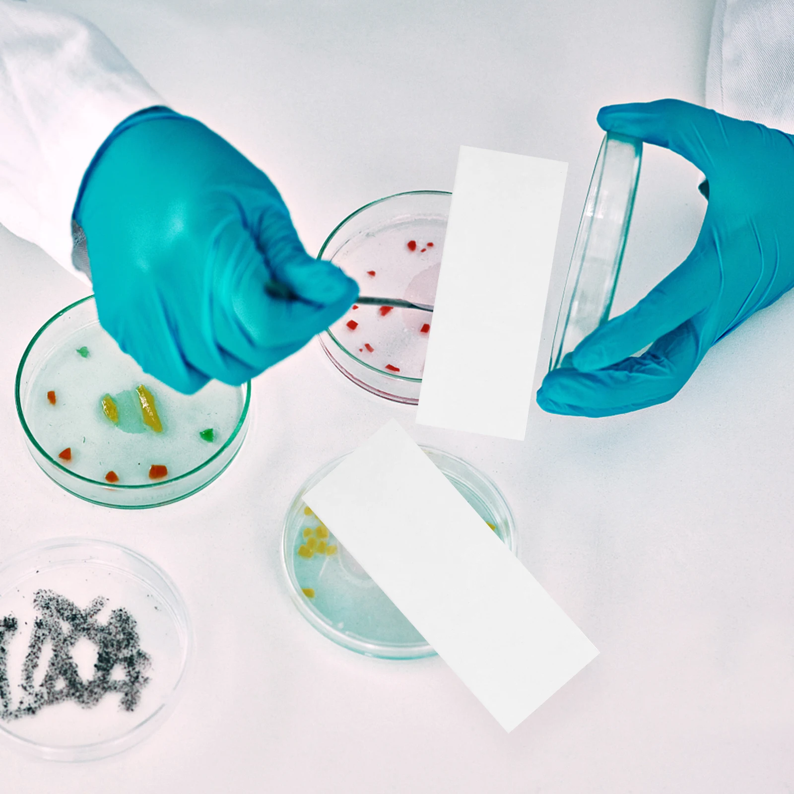 

500 Pcs Experiment Absorbent Paper Consumables Laboratory Strip Product Instruments Child