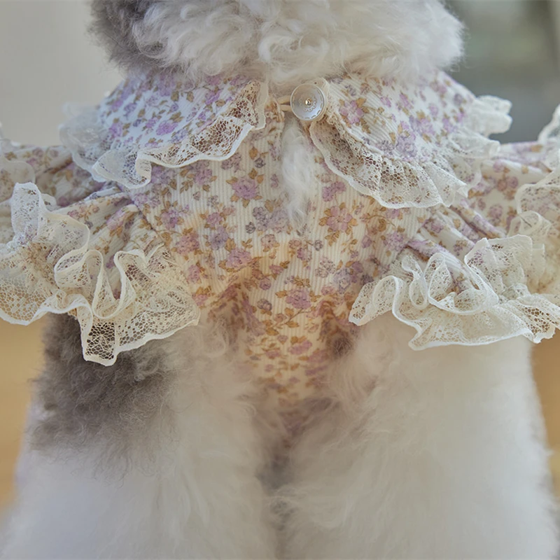 Hundekleid mit Blumenmuster, S – Lace Teddy Lingerie Bewertung und Preis