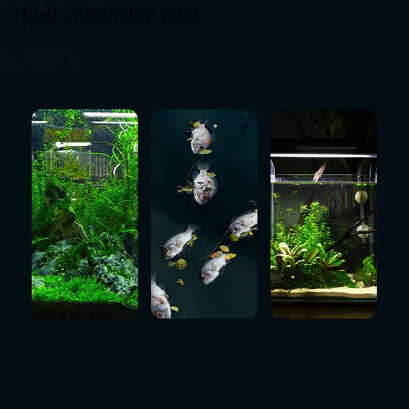 USB Mini Aquarium Heating Rod For Small Fish Tank 26°C Constant Temperature Aquarium Heater Submersible Thermostat Heater 10W