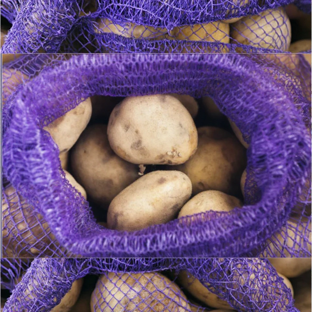 2025 الصين التعبئة والتغليف البطاطس المعاد تدويرها كيس البولي ايثيلين محبوك منتجات التعبئة والتغليف والطباعة المستخرجة