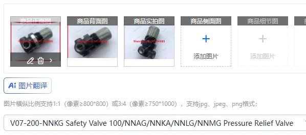 

V07-200-NNKG Предохранительный клапан 100/NNAG/NNKA/NNLG/NNMG Предохранительный клапан