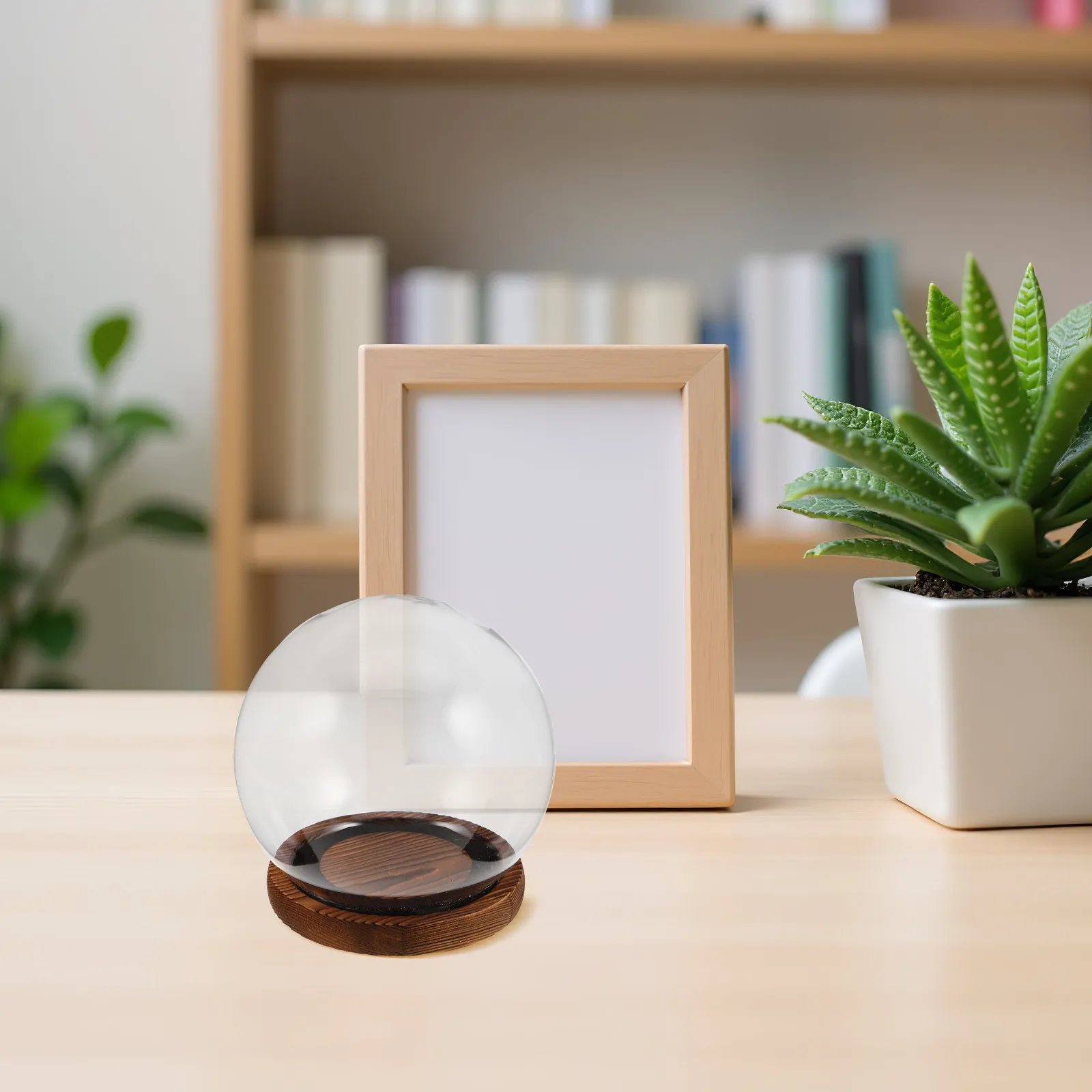 Preserved Flower Glass Dome Cloche Transparent Round Display Case Decorative Ornament Holder Eternal Flower Display