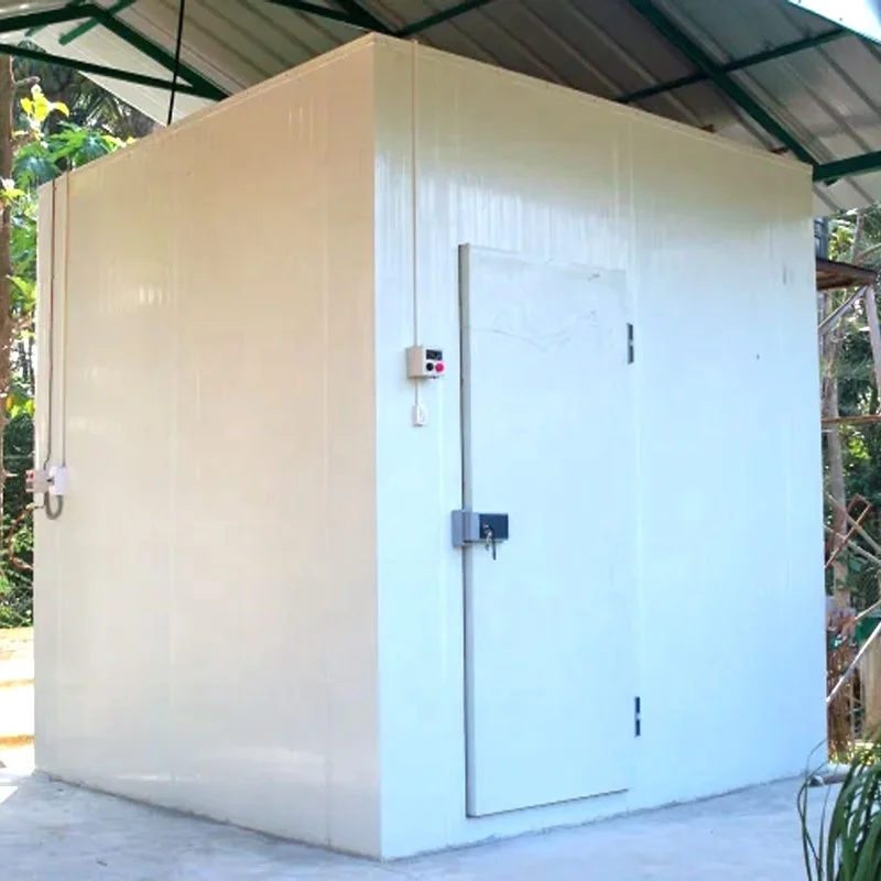 Coldroom Meat Fish Fruits Vegetables Container Refrigeration Unit Blast Chiller Freezer Walk in Cold Room Storage Manufacturer
