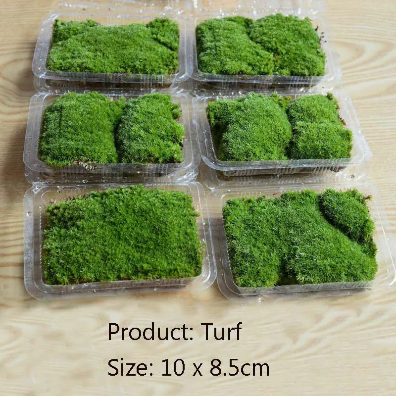 1 box 10x8.5cm Artificial Grassland Simulation Moss Lawn Turf Fake Green Grass Mat Carpet DIY Micro Landscape Home Floor Decor