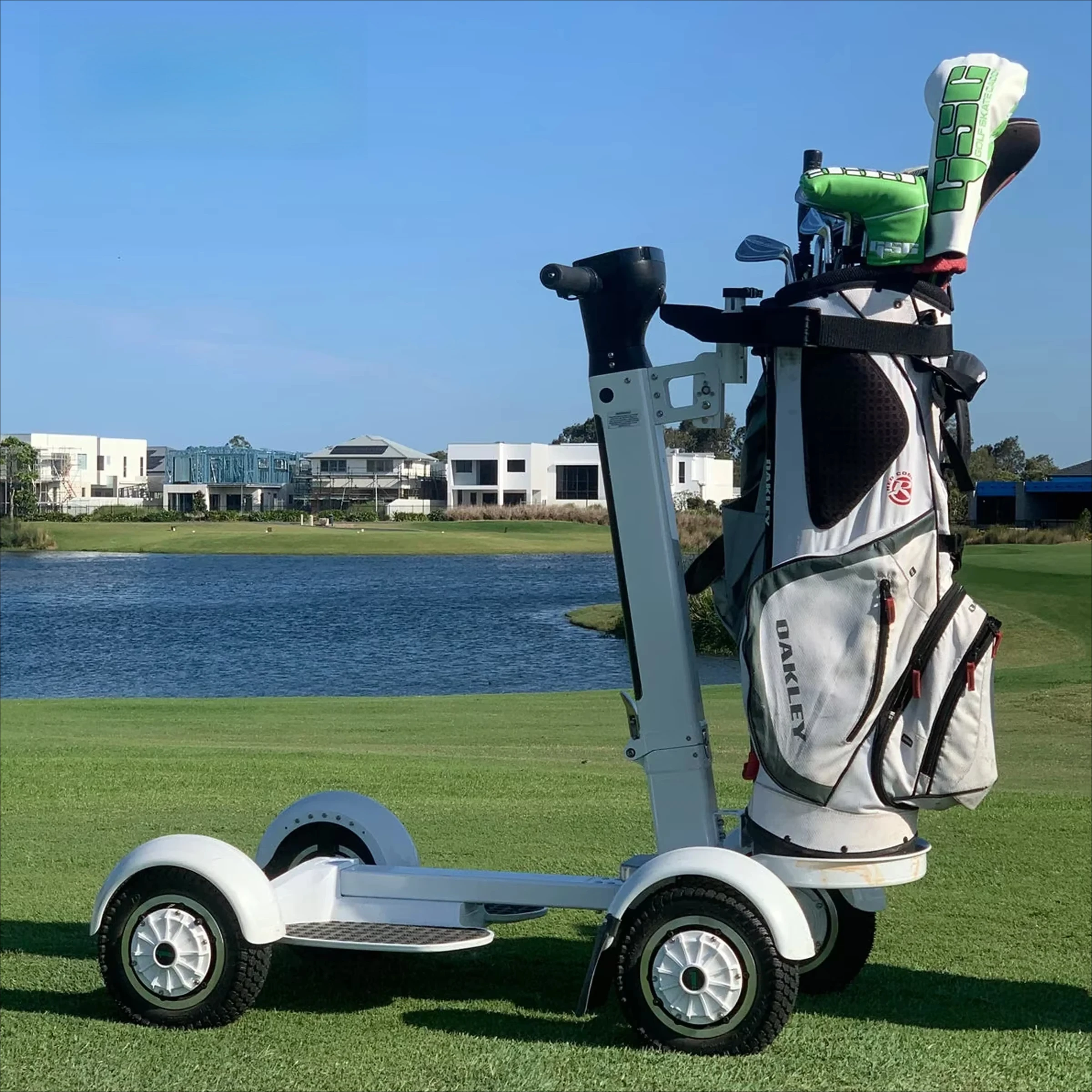 Carrello da golf per trasportatore di golf personale Controllo intelligente Potente scooter elettrico da 2000 W