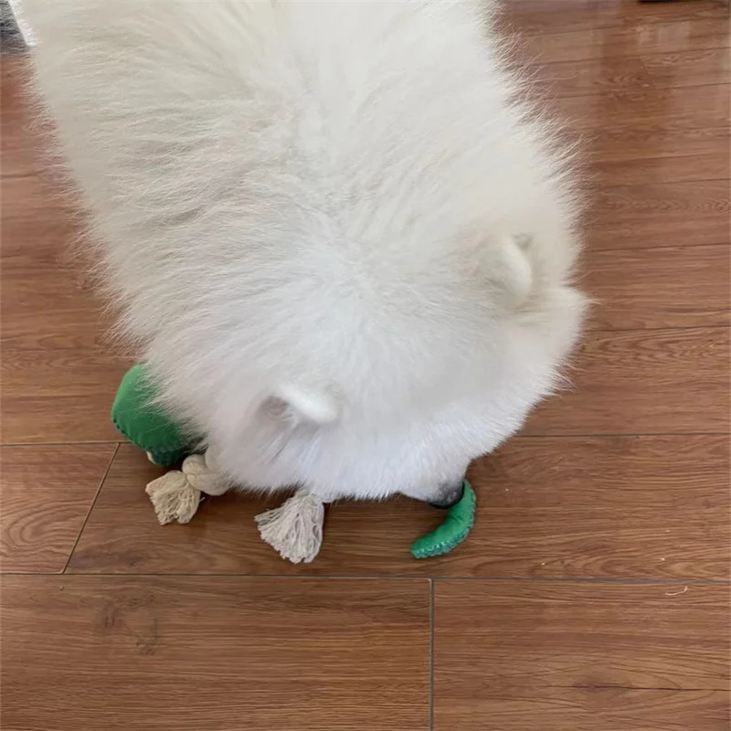 Squeaky Sound Dog Toy, Chameleon Interactive Rope Toys, Bite-resistant, Cleaning Tooth, Sound Pet, Puppy Accessories