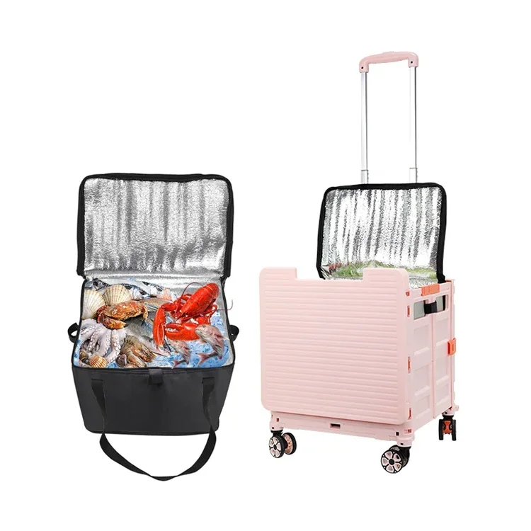 Baoyu Factory Carro Decompras Mercado Cool Bag Shopping Trolley Foldable Trolley with Brakes