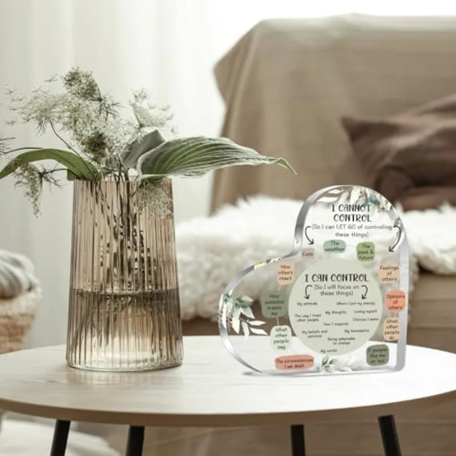 أشياء الصحة العقلية يمكنني التحكم في هدايا الديكور لديكور اليقظة الذهنية لمكتب العلاج هدايا القلب من الأكريليك علم النفس Art De