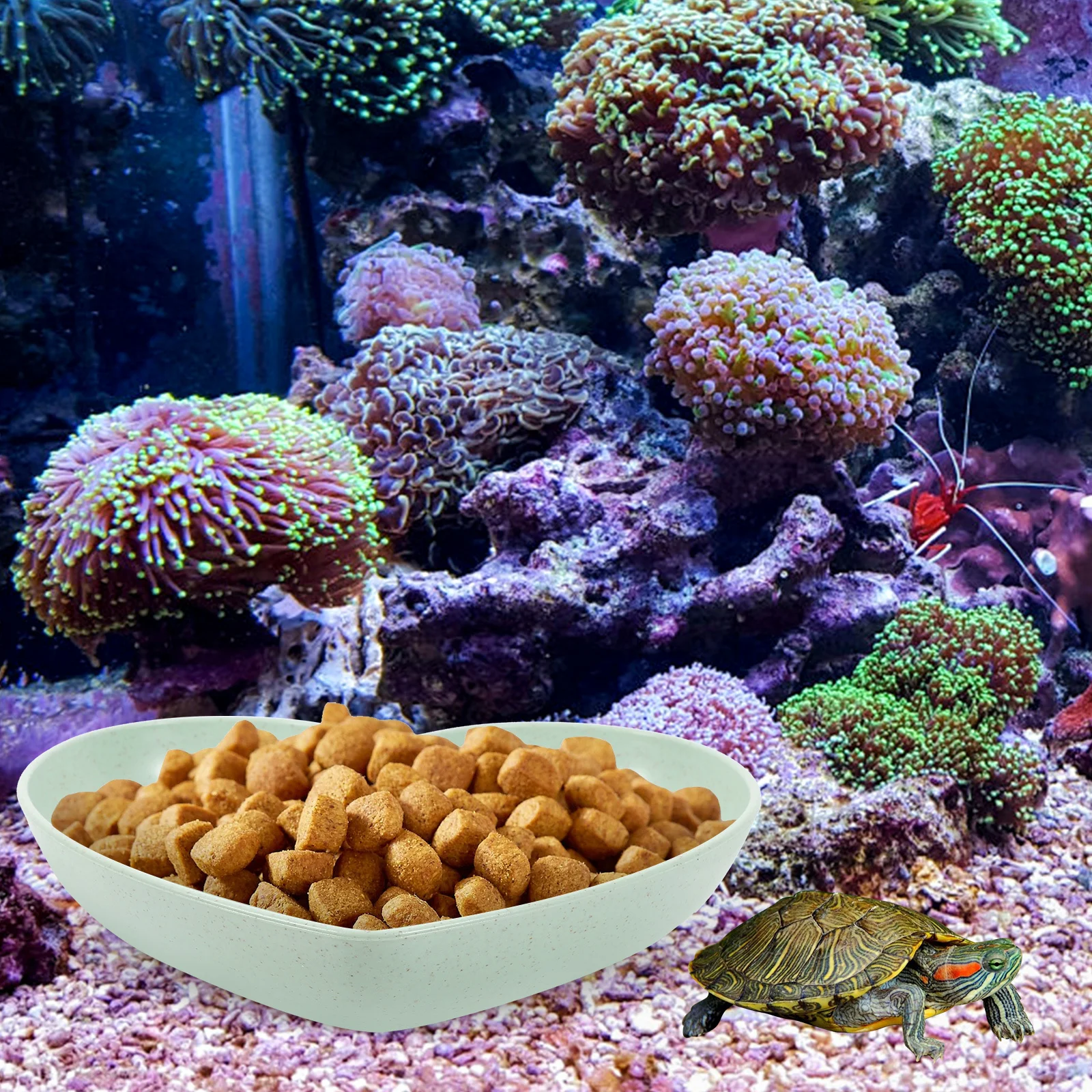 

5Pcs Hermit Crab Water Dish Reptile Feeding Bowl Heart Shape Durable Small Pet Food and Water Dish Hermit Crab Reptile Bowl