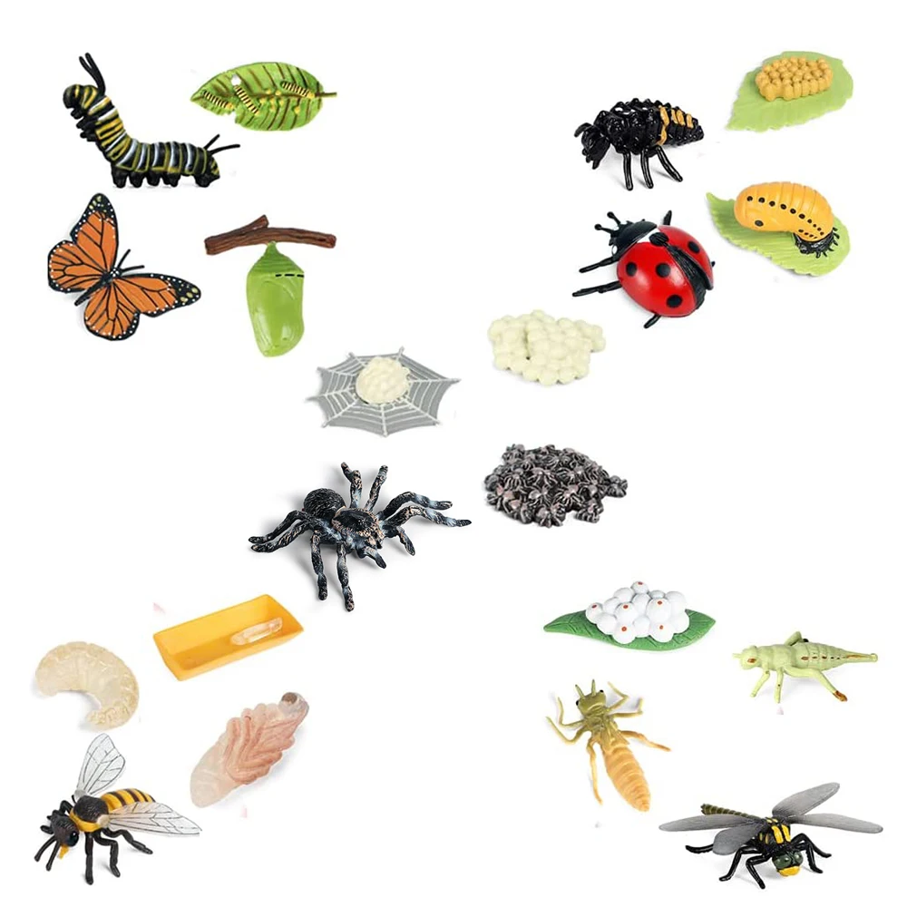 Life Cycle Figurines of Butterfly Spider Bee Ladybug Dragonfly, Plastic Insect Bug Figures Toy, School Project for Kids