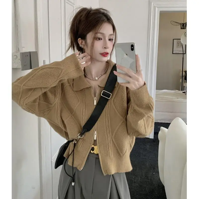 Jesienna odzież damska Polo-neck Niche Chic Zipper Knitted Sweater Fashion Comfortable Trend Casual Korean All-match Youth Easy