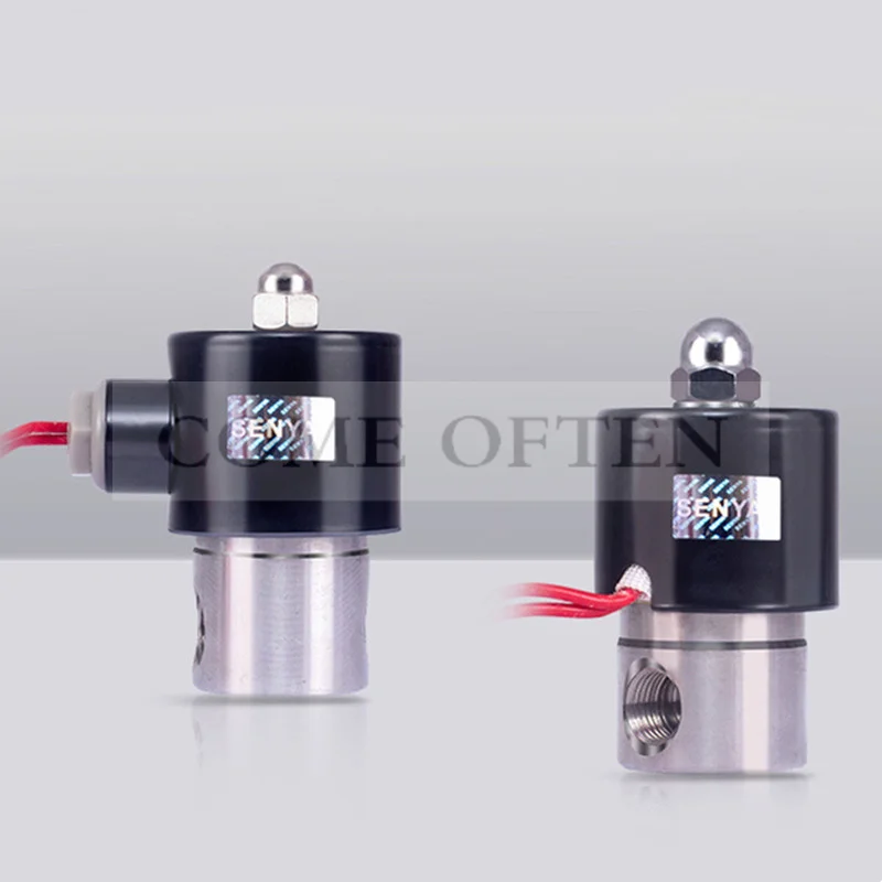 

Two way 304 Stainless Steel Underwater Solenoid Valve Waterproof Fountain Water Valve G1/2" G3/4" 80°c NBR Liquid Valve