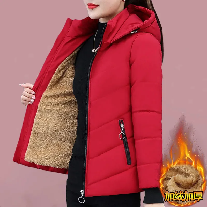 Winter Short Down Cotton Jacket Women New Loose Lambs Wool Hooded Coat Fashion Zipper Outerwear Thicken Parka Overcoat Female