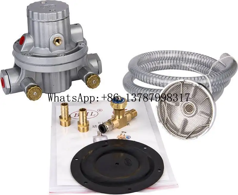 10L/min Single Way BML-5 Pneumatic Diaphragm Pump for Water-based Ink Printing Machine