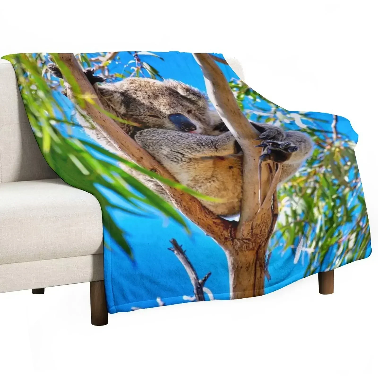 Lovely Australian Koala Bear Throw Blanket manga Nap Blankets