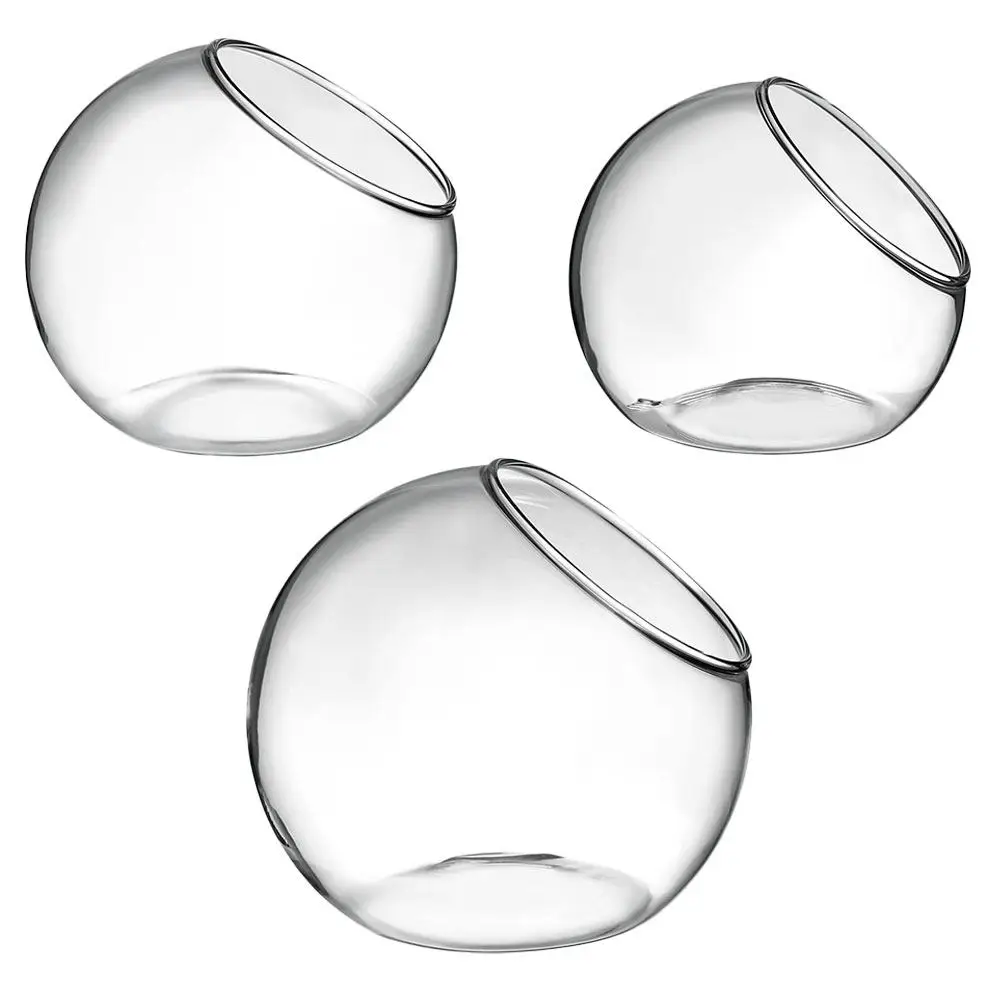 3Pcs Glass Terrarium Multi-Purpose Plant Terrarium Smooth Surface Miniature Garden Micro Landscape Bottle Desktop Succulent Vase