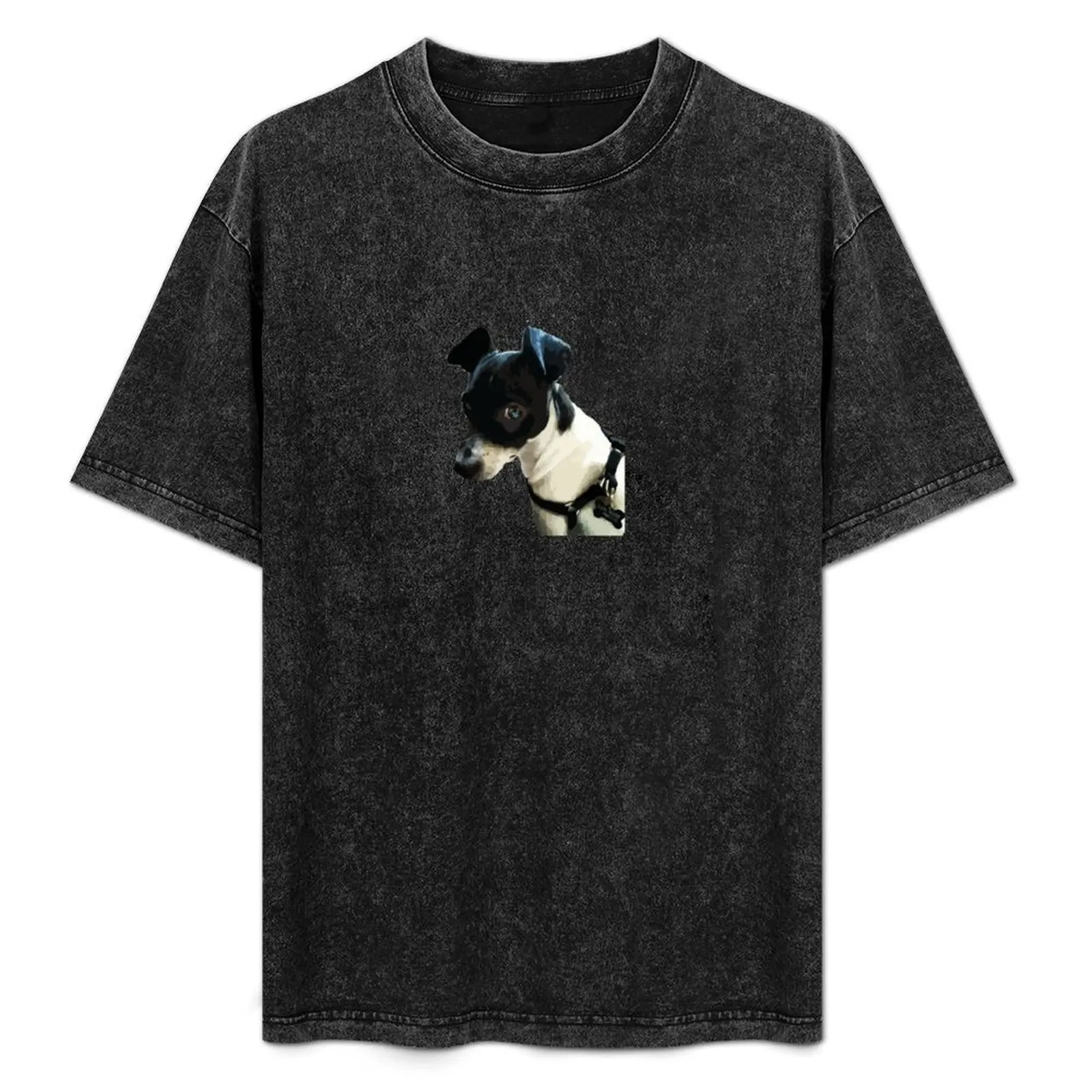 

Carl the Rat Terrier T-Shirt Plus Size Short Sleeve T-Shirt