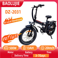 BAOLUJIE DZ-2031 Adult Electric Bicycle 500W  Motor Electric Bike 48V13AH Battery 20 Inch Tire All Terrain E-Bike