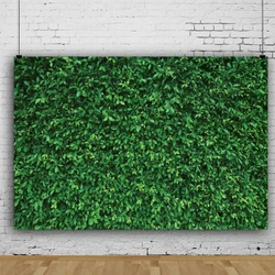 1pc Vinyl Green Leaves Photography Backdrops Backdrop Birthday Background for Birthday Party Photo Booth Prop Decoration