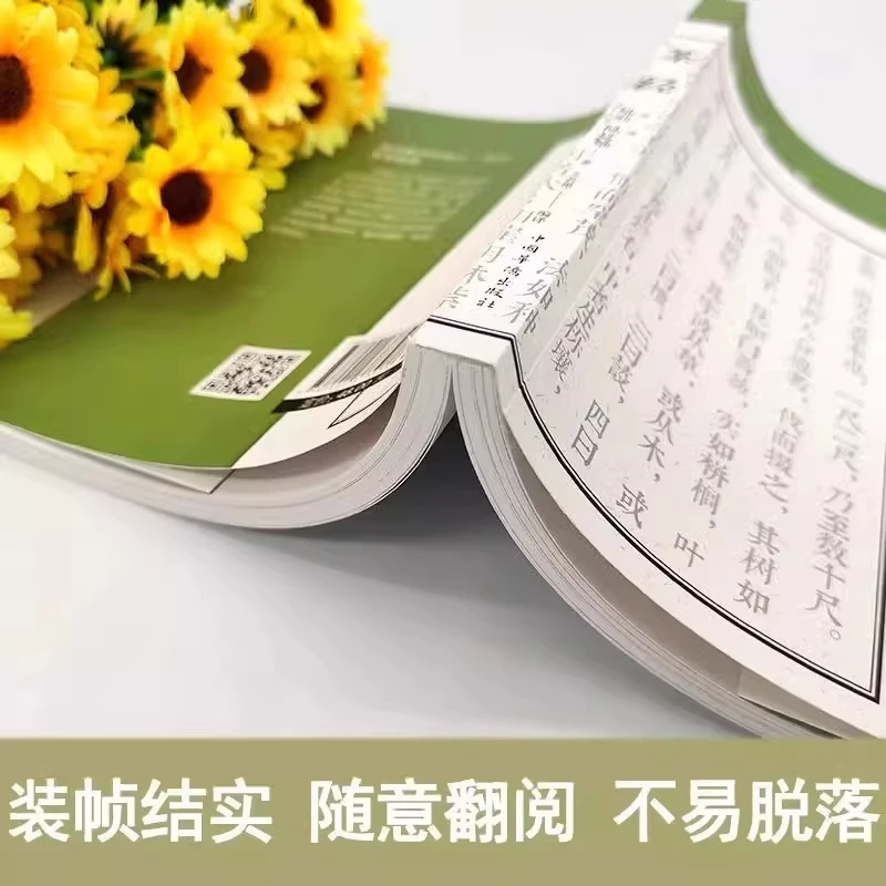 Tea Classic, œuvre originale de Lu Yu, livres sur l'art et la culture du thé, livres classiques sur le thé