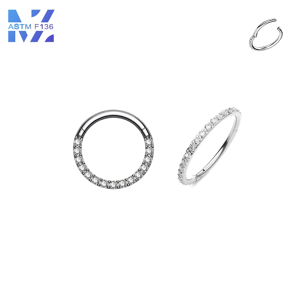 

1 Pcs F136 Titanium 16G with Zirconia Earrings Sparkling Closed Loop Simple Classic Earrings Nose Ring Body Piercing Jewelry