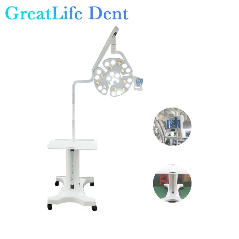 Movable Dental Surgical LED Lamp, Operação Luz, Stand, Hospital, Clínica