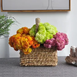 21CM Succulent Rice Fruit Artificial Touch Soft Rubber Micro Landscape Plant Arrangement Photography Home Decoration