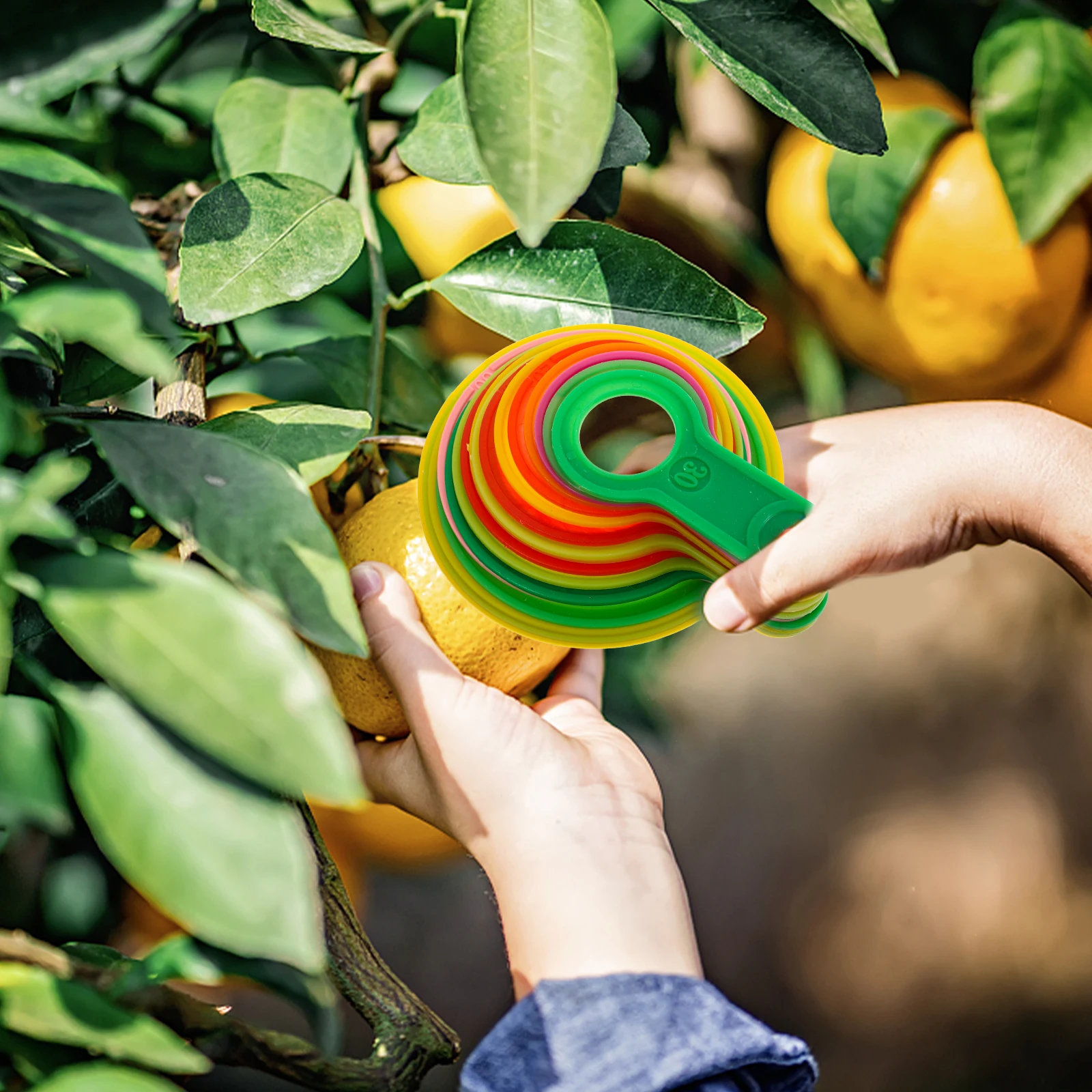 

1 set Fruit Measuring Caliper Set Grading Board Diameter Gauge Rings Plastic Circle Tool for Apples Oranges Peaches Citrus