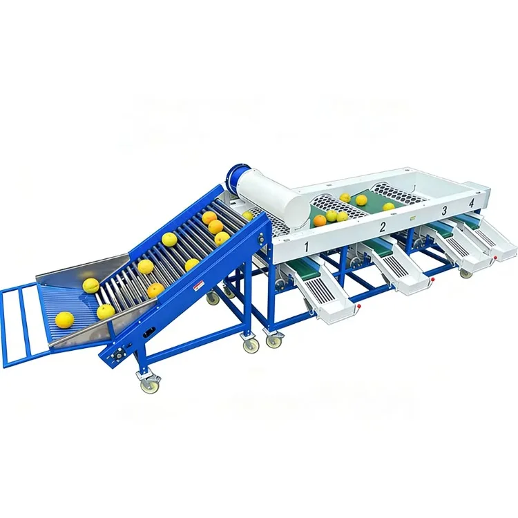 High Efficiency Fruit Processing Plant Fruit Onion Sweet Potato Shrimp Tomato Pineapple Oyster Mushroom Mini Grading Sorting