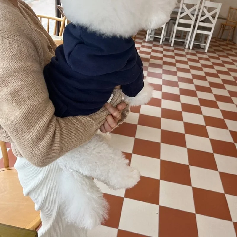 Winter Hoodie Haustier Kleidung Hunde Mode Plüsch Hund Kleidung Kostüm Kleine Französisch Bulldogge Welpen Kleidung Frühling Herbst Junge Mascotas – Detail 5