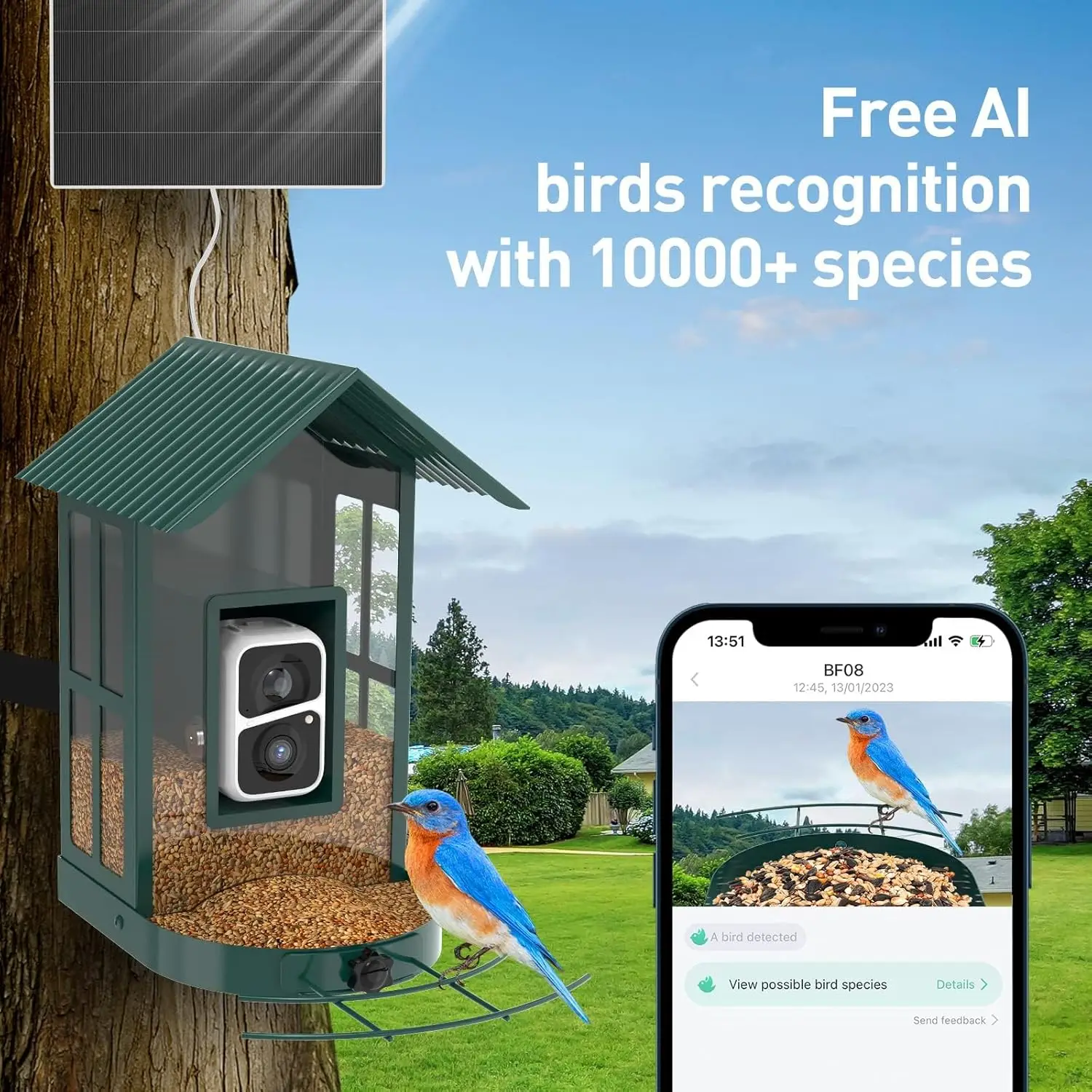 BF08- Metal Solar Bird Feeder Camera with AI Identify Bird Species, Wild Bird Watching Cam, Live View, Instant Notifications